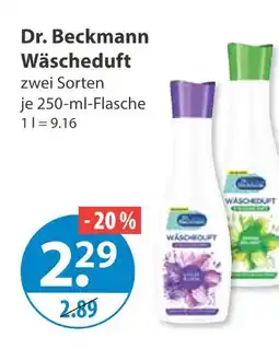 V Markt Dr. beckmann wäscheduft Angebot