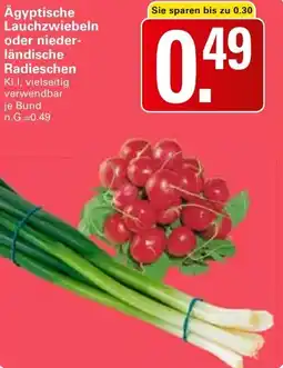 WEZ Ägyptische Lauchzwiebeln oder niederländische Angebot