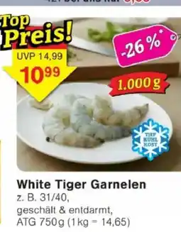 Jawoll White Tiger Garnelen Angebot