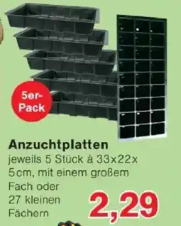 Jawoll Anzuchtplatten 5er- Pack Angebot