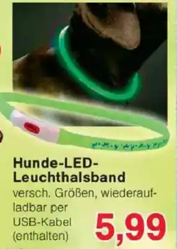 Jawoll Hunde-LED- Leuchthalsband Angebot