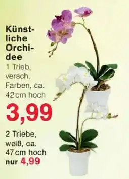 Jawoll Künstliche Orchidee Angebot