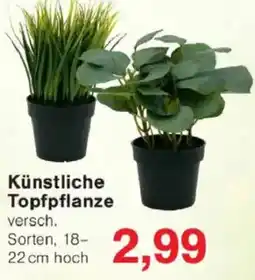 Jawoll Künstliche Topfpflanze Angebot