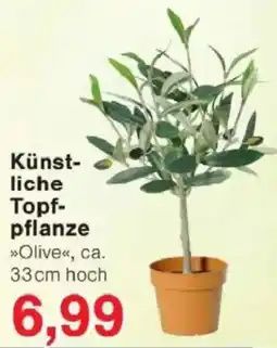 Jawoll Künstliche Topfpflanze Angebot