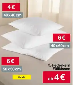 Woolworth Federkern Füllkissen Angebot