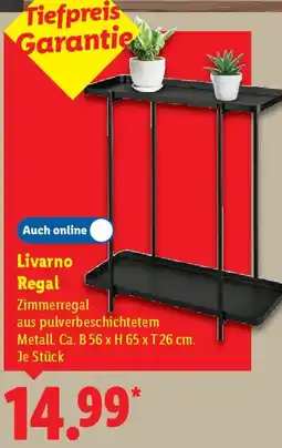 Lidl Livarno Regal Angebot