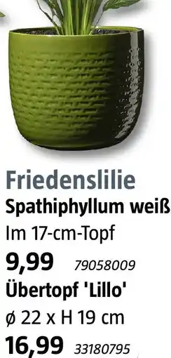 Bauhaus Übertopf 'Lillo' Angebot