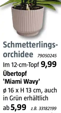 Bauhaus Übertopf 'Miami Wavy' Angebot