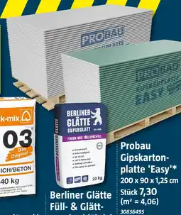 Bauhaus Probau Gipskartonplatte 'Easy'* 200 x 90 x 1,25 cm Angebot