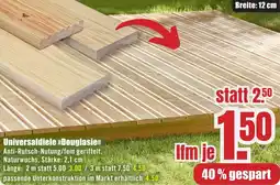 B1 Discount Baumarkt Universaldiele Douglasie Angebot