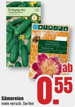 B1 Discount Baumarkt Sämereien Angebot