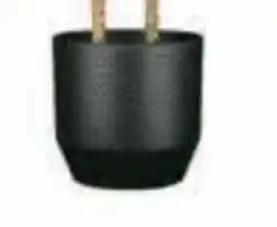 Hagebau Übertopf Nola Angebot