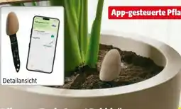 Hagebau Pflanzen-Tool Smart Pebble Angebot