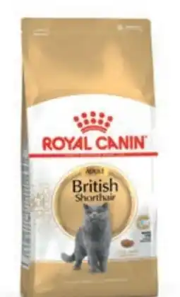 Das Futterhaus Royal Canin British Shorthair Angebot