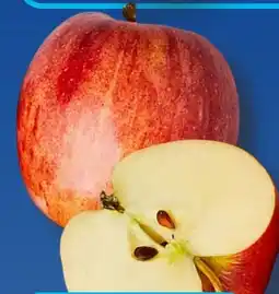 Aldi Süd Äpfel Braeburn Angebot