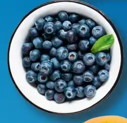 Aldi Süd Heidelbeeren Angebot