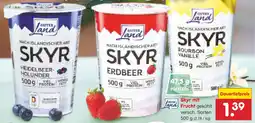 Netto Marken-Discount GUTES Land Skyr mit Frucht Angebot