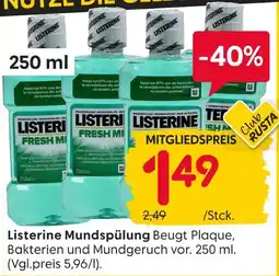 Rusta Listerine mundspülung fresh mint Angebot