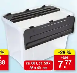 Zimmermann Dragon box mit geteiltem deckel Angebot