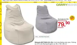 Möbelzentrum Pforzheim Carryhome sitzsack Angebot