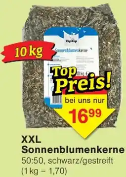 Wiglo Wunderland XXL Sonnenblumenkerne Angebot