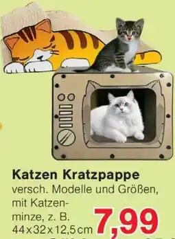 Wiglo Wunderland Katzen Kratzpappe Angebot