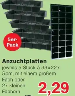 Wiglo Wunderland Anzuchtplatten Angebot