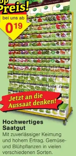 Wiglo Wunderland Hochwertiges Saatgut Angebot