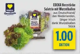 diska EDEKA Herzstücke Salatrio mit Wurzelballen Angebot