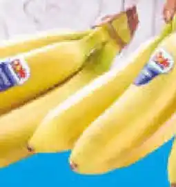Netto Marken-Discount Gourmet Mini-Bananen Angebot