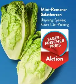Aldi Süd Mini-Romana- Salatherzen Angebot