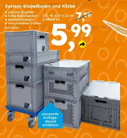 Globus Baumarkt System-Stapelboxen und Körbe Angebot