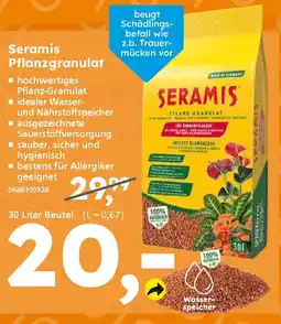Globus Baumarkt Seramis Pflanzgranulat Angebot