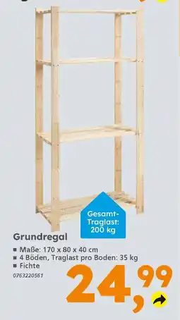 Globus Baumarkt Grundregal Angebot