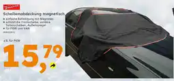 Globus Baumarkt TrendLine Scheibenabdeckung magnetisch Angebot