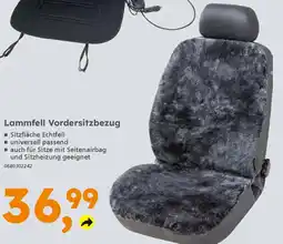 Globus Baumarkt Lammfell Vordersitzbezug Angebot