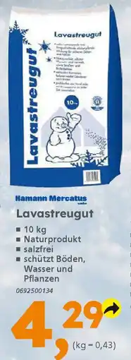 Globus Baumarkt Hamann Lavastreugut Angebot