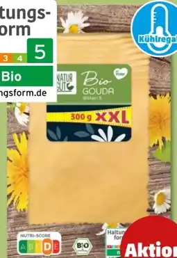 PENNY Naturgut Bio Gouda XXL Angebot