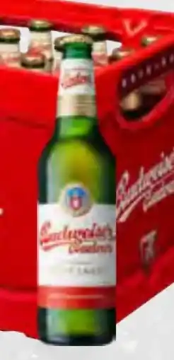 trinkgut Budweiser Budvar (CZ) Premium Lager Angebot