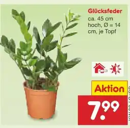 Netto Marken-Discount Glücksfeder Angebot
