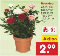 Netto Marken-Discount Rosentopf Angebot