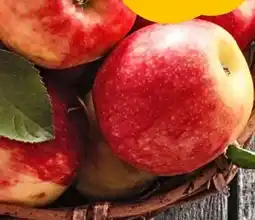 nahkauf Rewe Regional Tafeläpfel Angebot