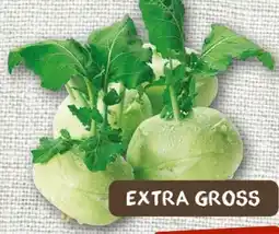 nahkauf Kohlrabi Angebot