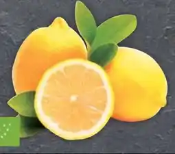 E-Center Bio-Zitronen Angebot