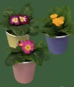 E-Center Primeln Angebot