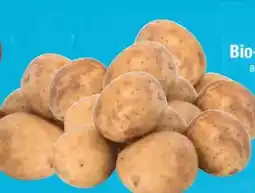 E-Center Bio-Speisekartoffeln Angebot