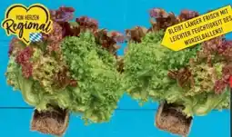 E-Center Ballensalat Trio Mix Angebot