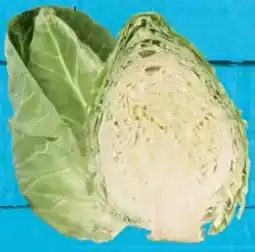 E-Center Spitzkohl Angebot