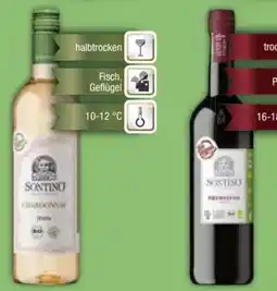 E-Center Sontino Bio Weine Angebot