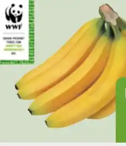 Edeka Xpress Edeka Bio Bio-Bananen Angebot